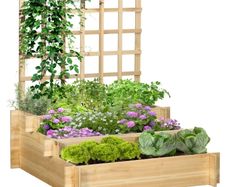 3 Tier Garden Planters with Trellis for Vine Climbing, Wooden Raised Beds, 95x95x110cm, Natural Tone