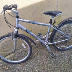 Raleigh bike