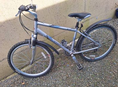 Raleigh bike