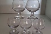 5 Balloon Shot Glasses