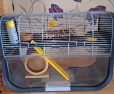 Hamster Cage