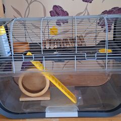 Hamster Cage