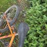 bike Image 6