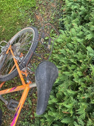 bike