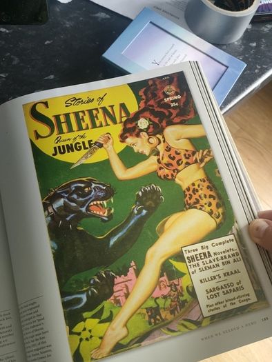 The Art of the Pulps