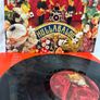 Forget Me Nots Hullabaloo Vinyl LP Record 4719221 Mint Condition Image 7