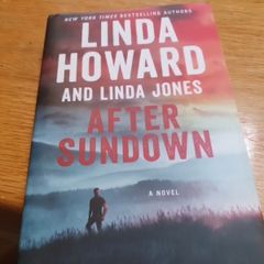 After Sundown Romantic Thriller New York Times Bestselling Authors From Pet Smoke Free Home