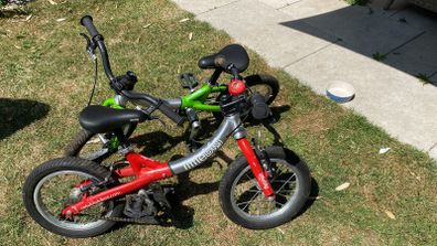 Little Big Kids Bikes Ideal for Twins
