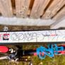bike Image 5