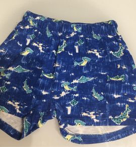 Zara Boys Shorts (Age 2-3)