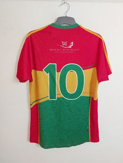 carlow gaa jersey