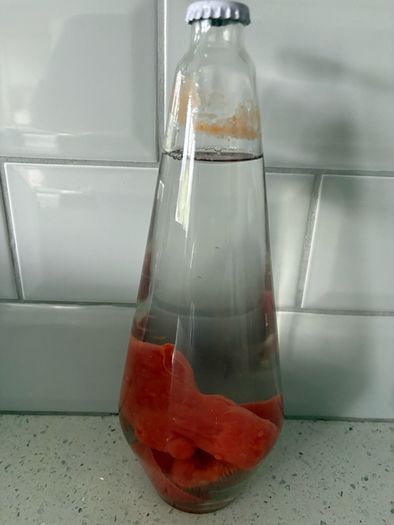 Lava Lamp