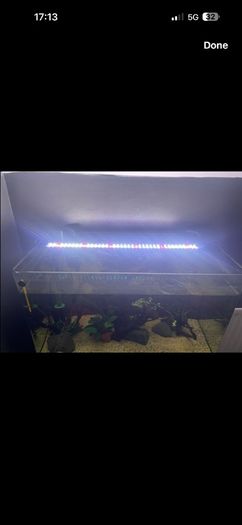 fish tank