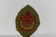 Boy Scout Patch