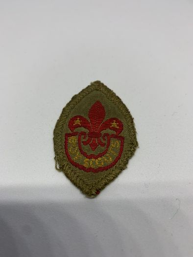 Boy Scout Patch