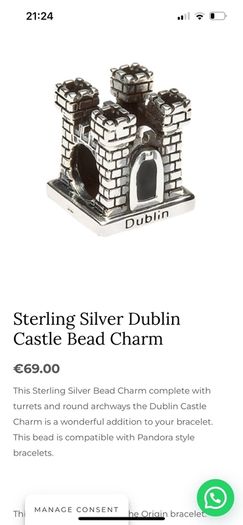 Silver charm Tara's Diary