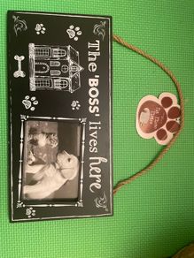New Dog Picture Frame