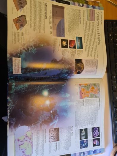 3 DK books Dorling Kindersley