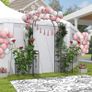 Metal Garden Arbor Arch with Double Doors Image 3