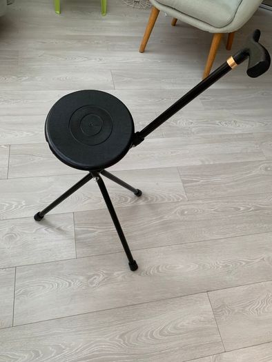 Walking stick with seat