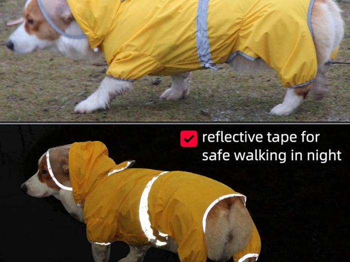 Dog Raincoat Waterproof Jacket with Hood & Collar Hole Transparent Brim,Ultra-Light Breathable Reflective Jumpsuit for Short-legged Dogs Corgi Dachshund xs,s,m,L,XL
