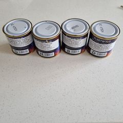 Paint samples