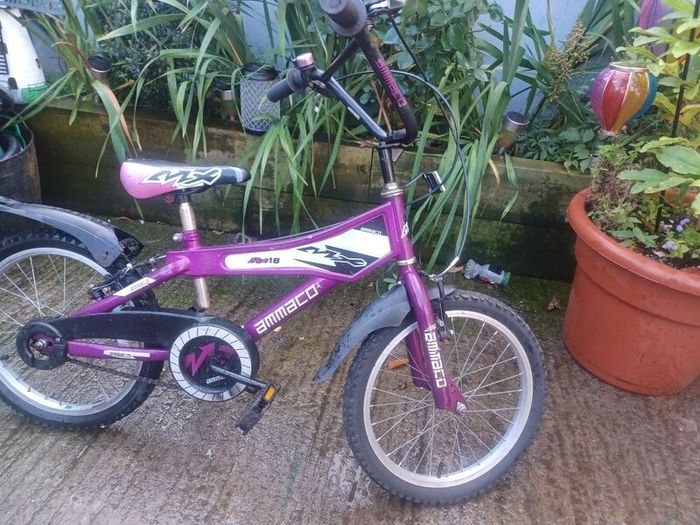 Ammaco girls bike