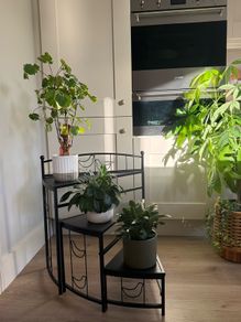Black flower/display stand