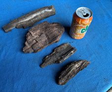 4 small pieces of bog oak