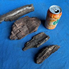 4 small pieces of bog oak