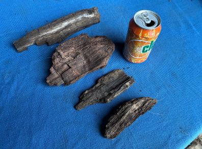 4 small pieces of bog oak