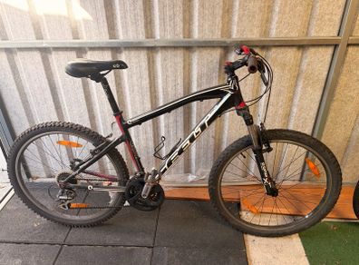 Felt mountain bike