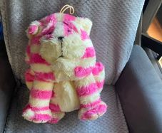 Bag puss pjs case/hot water bottle