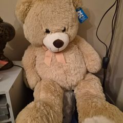 Giant teddy