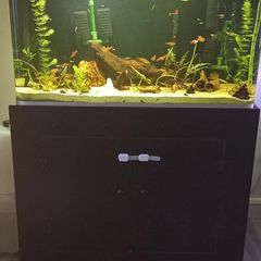 Fish tank
