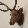 wall mount deer head Image 4