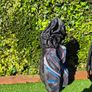 power caddy golf bag delux edition Image 2