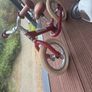 balance bike Image 4