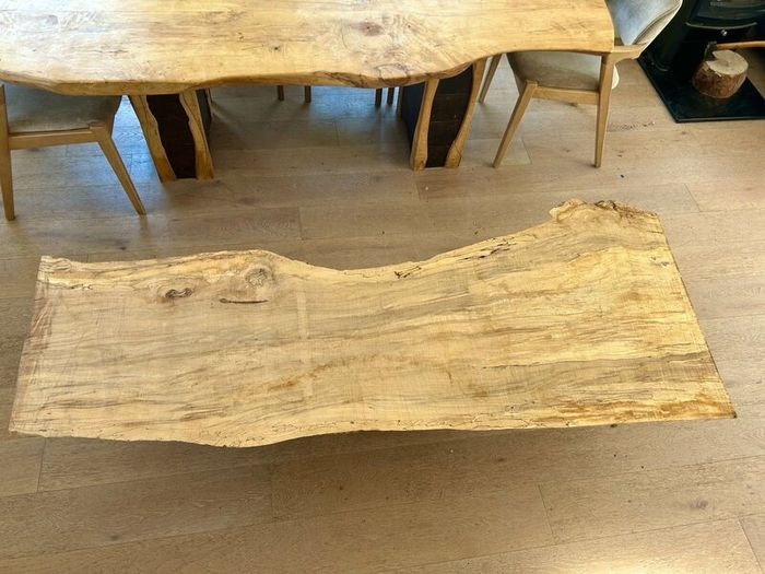 spalted beech slab