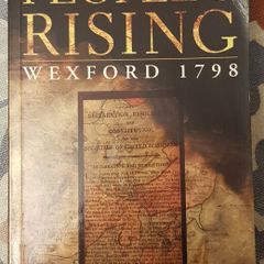 The People's Rising, Wexford 1798 by Daniel Gahan