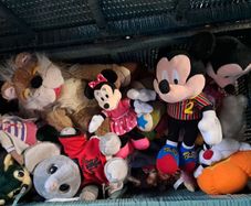 soft toy