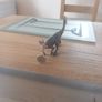 Papo Figurine of a Dilophosaurus Dinosaur Image 2