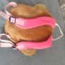 Dog shaped backpack Image 2