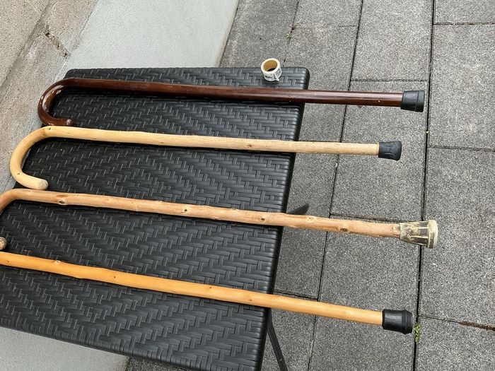 Walking sticks
