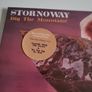 STORNOWAY Dig The Mountain coloured vinyl Image 2