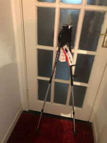 Leki Premium Ski Poles