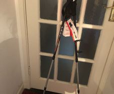Leki Premium Ski Poles