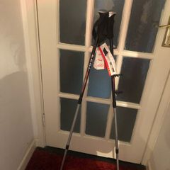 Leki Premium Ski Poles