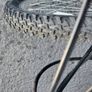 Ladies Medium Sized Bike Good Condition Image 7