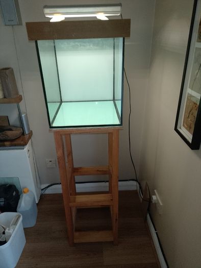 Fish tank with stand and light